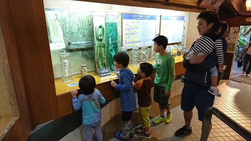 24日・沖縄満喫プラン！